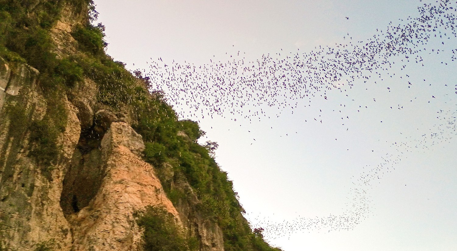 When Shadows Fall, Millions of Wings Take Flight: Cycling to the Bat Cave Spectacle